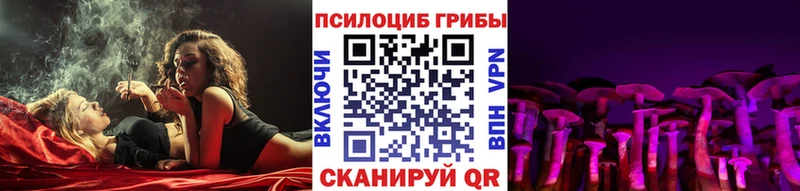 Псилоцибиновые грибы Psilocybine cubensis  Усмань 
